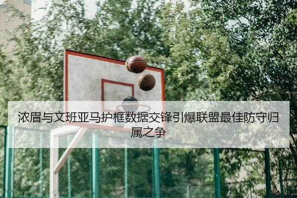 浓眉与文班亚马护框数据交锋引爆联盟最佳防守归属之争
